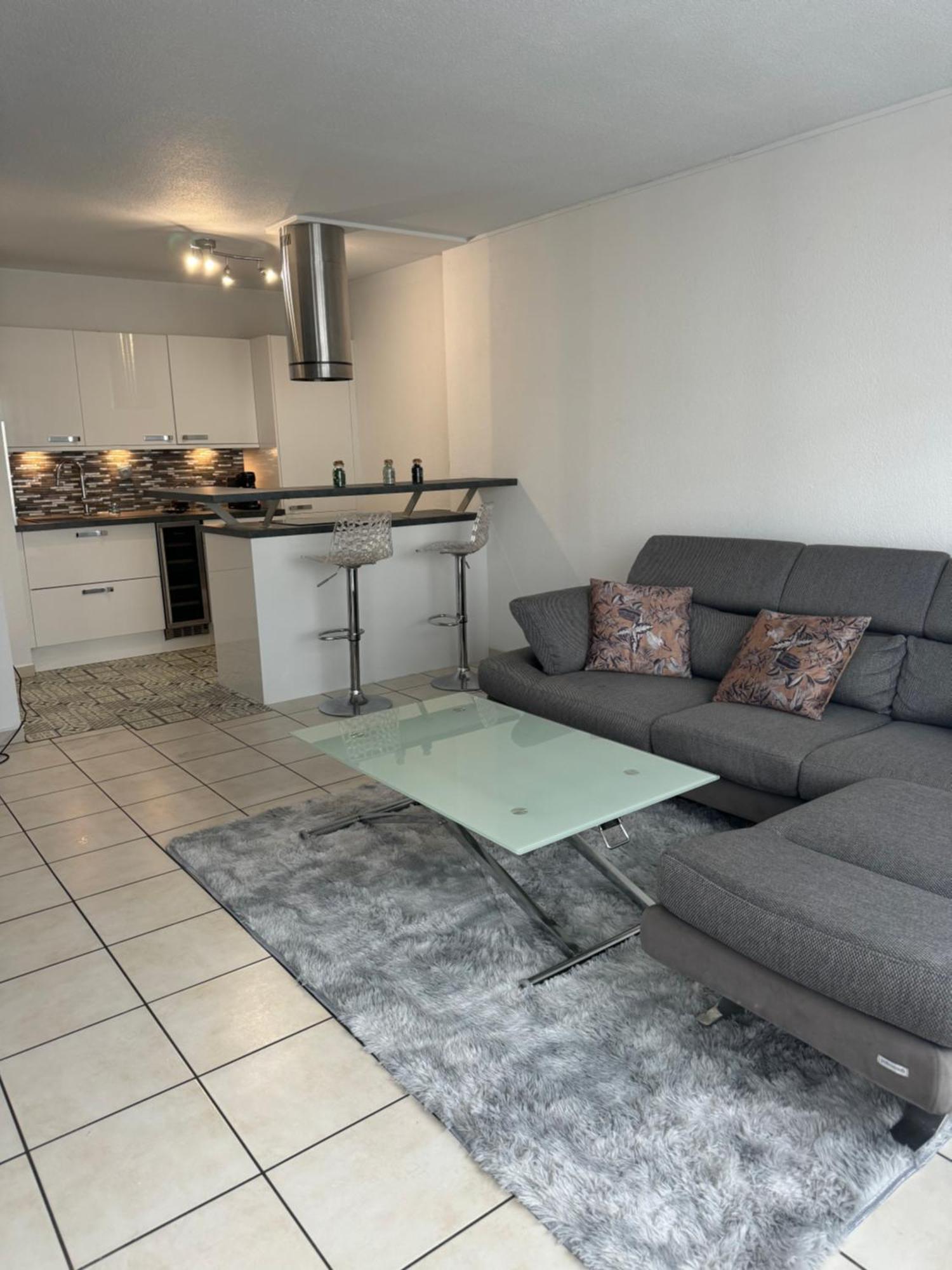 Apartment Avec Piscine Sur Le Toit Villeurbanne